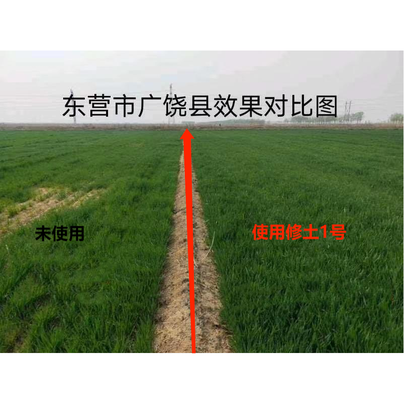 東營(yíng)廣饒使用修土1號(hào)效果